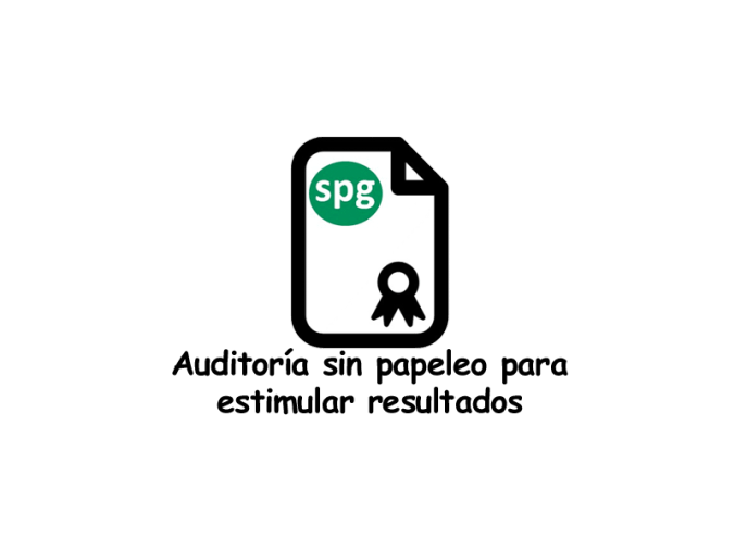 SPG - Auditoría sin papeleos para estimular resultados